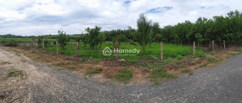 Bán Lô Đất Vườn Diên Xuân 1.087M² – Có Sẵn Vườn Bưởi, Giá Chỉ 340 Triệu