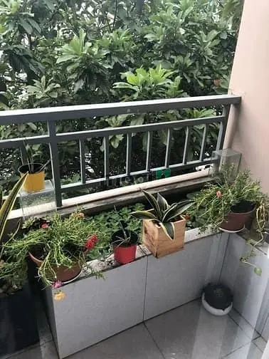 Bán Nhà Tô Hiến Thành Hẻm 5M - Quận 10 - 7Pn - Giá Nhỉnh 16 Tỷ