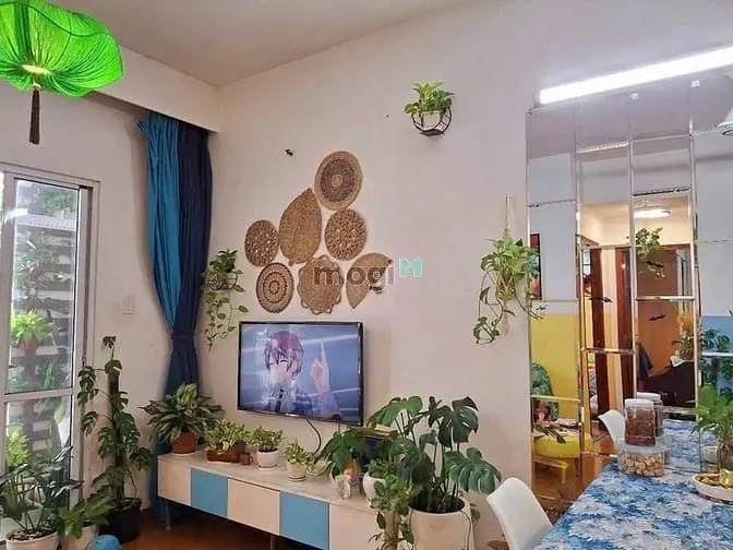 6019896 ảnh đại diện 1