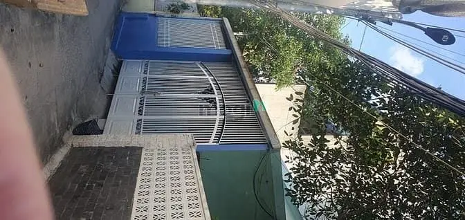6019732 ảnh đại diện 1