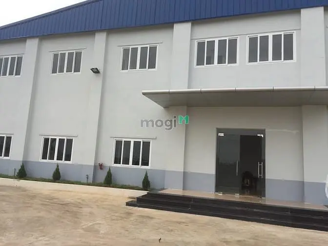 6019683 ảnh đại diện 1