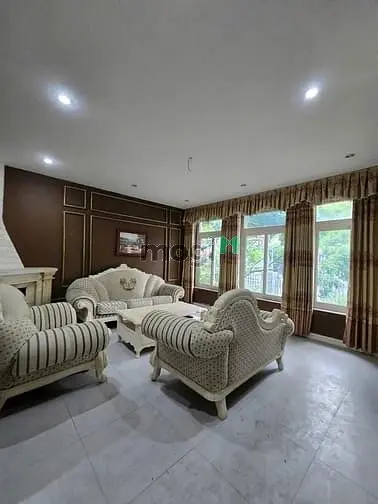 6019866 ảnh đại diện 1