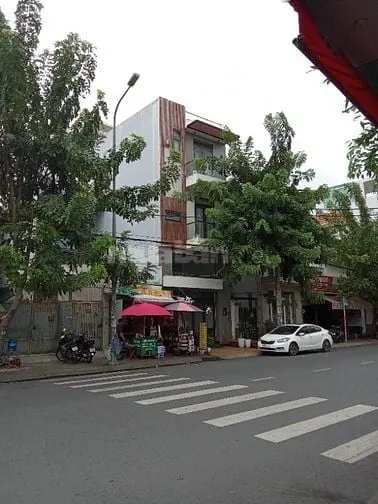 6019856 ảnh đại diện 1