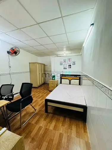 6019698 ảnh đại diện 1