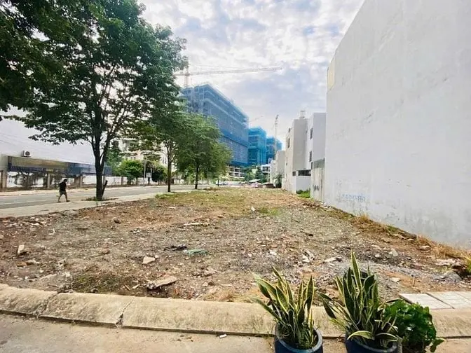 6020349 ảnh đại diện 1