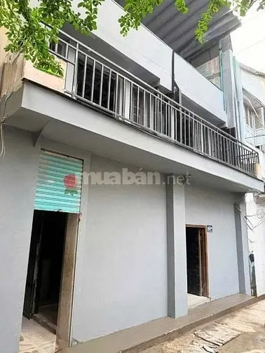 6020484 ảnh đại diện 1