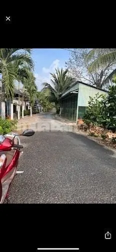 6020366 ảnh đại diện 1