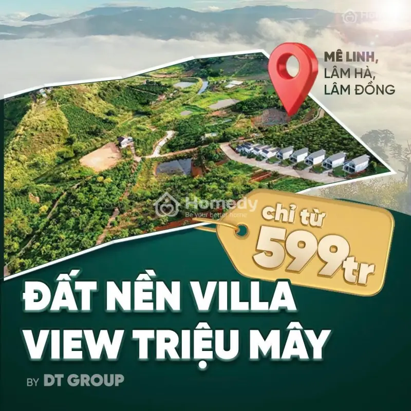 6020515 ảnh đại diện 1