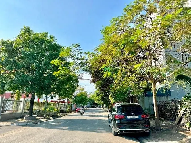 6020604 ảnh đại diện 1
