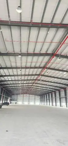 6020774 ảnh đại diện 1