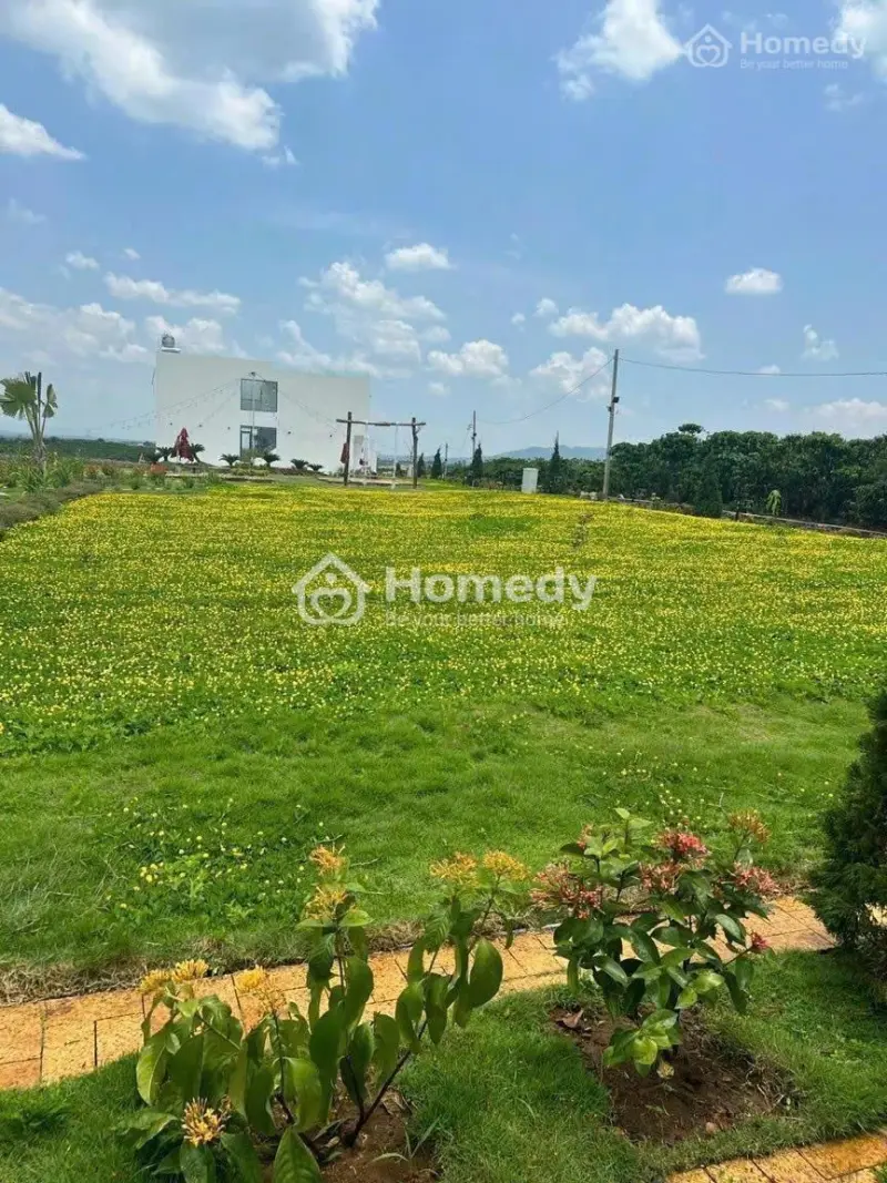 Cắt Lỗ 50%, Tổng Diện Tích 2 Lô 260M2, 200M2 Thổ Cư, Ngang 10.2Met, Dài 25 Mét, Ngay Ql20 Bảo Lộc