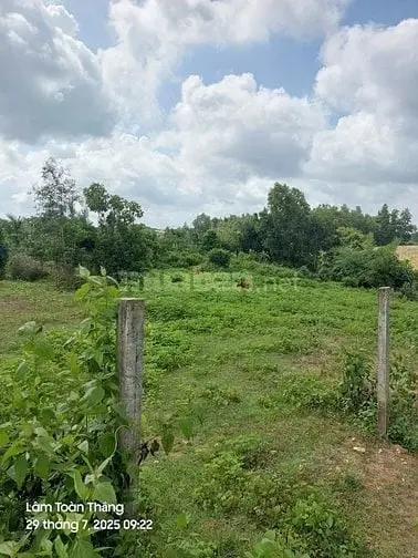 6020653 ảnh đại diện 1