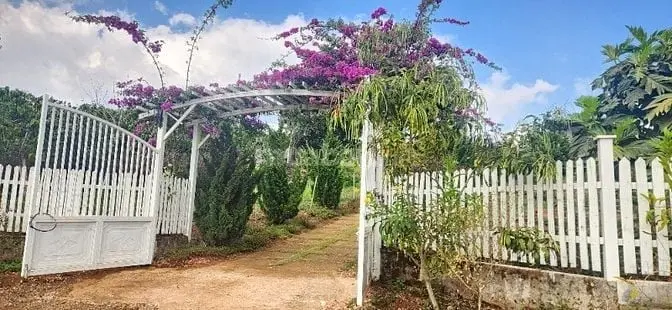 6020663 ảnh đại diện 1