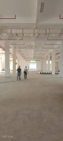 6020324 ảnh đại diện 1