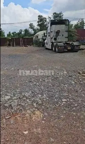 6020454 ảnh đại diện 1