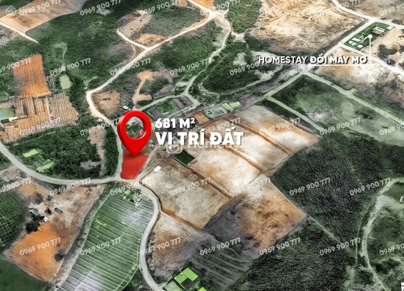 6020719 ảnh đại diện 1