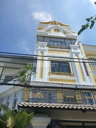 6020628 ảnh đại diện 1