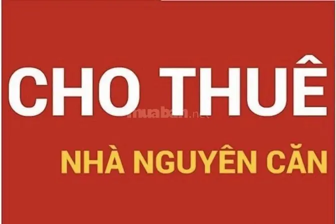 6020789 ảnh đại diện 1