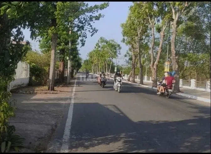 6020388 ảnh đại diện 1