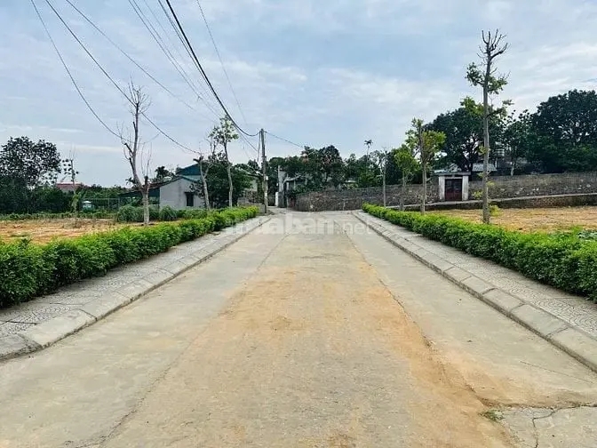 5 Lý Do Nên Mua Đất Tại Phường Mạo Khê (Quảng Ninh) – Xem Là Muốn Mua!