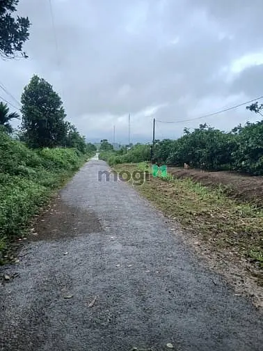 3000M2 Đất Mặt Tiền Hàn Thuyên