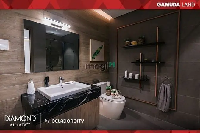 Giá Rổ Hàng Cho Thuê Từ 1Pn,2Pn,3Pn Celadon City T8/25 Mới Nhất