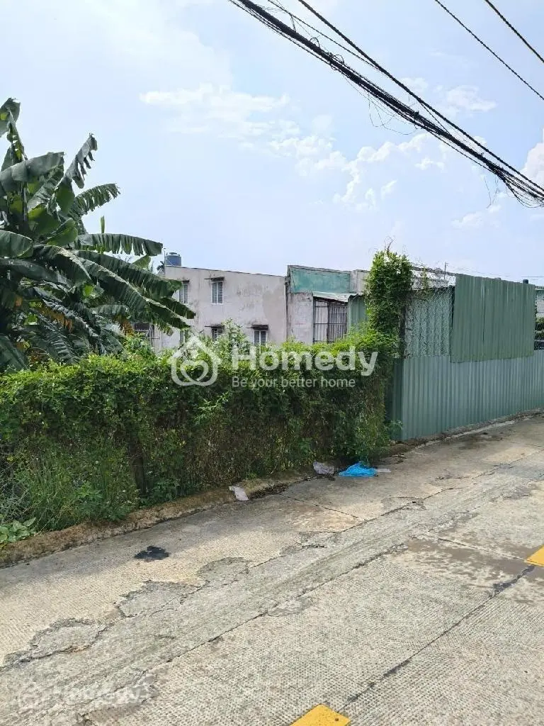 6020241 ảnh đại diện 1