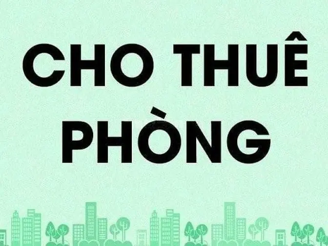 6020492 ảnh đại diện 1