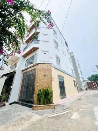 6020450 ảnh đại diện 1