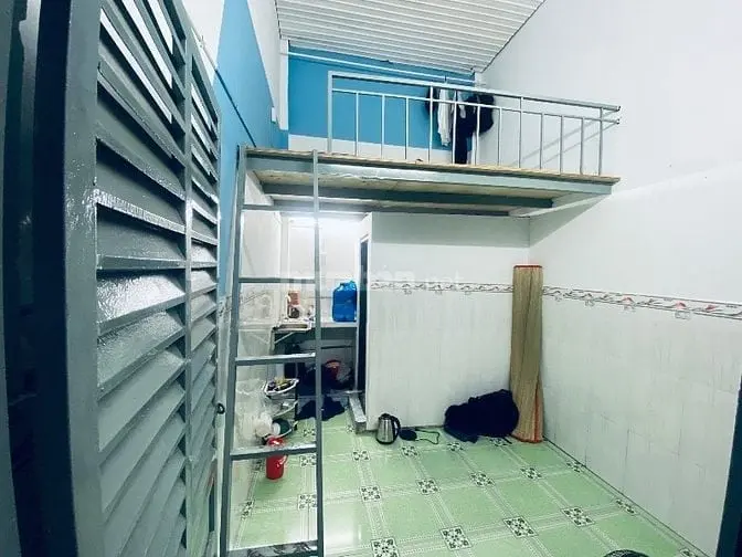 6020506 ảnh đại diện 1