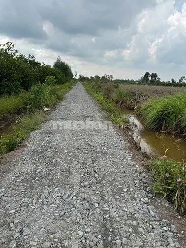 Bán 500M2 Đất Vườn (Ngang 9M Dài 49M) Đường Đá Xanh 399 Triệu