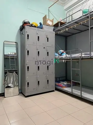 6020372 ảnh đại diện 1