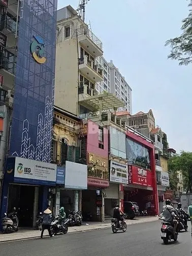 6020641 ảnh đại diện 1