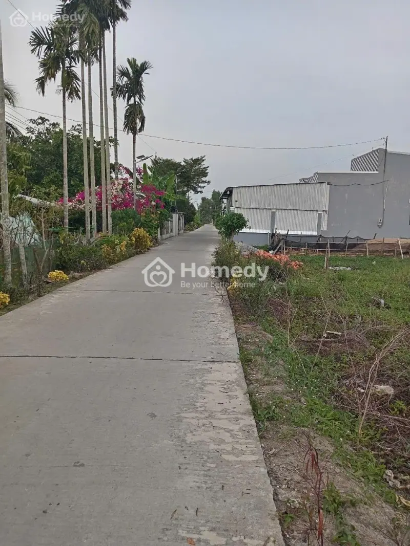 6020353 ảnh đại diện 1