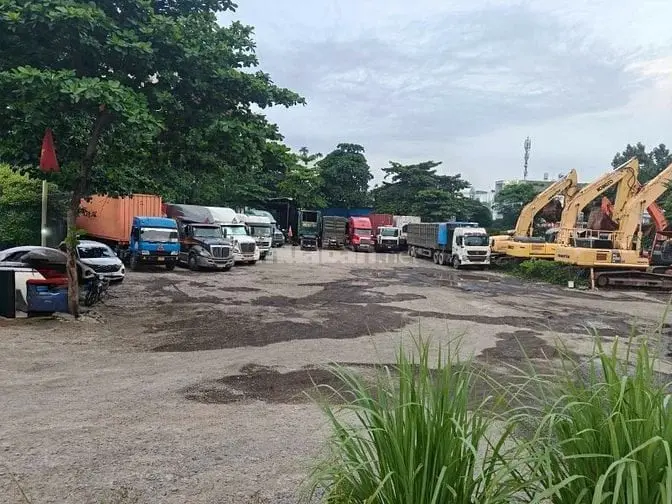 6020455 ảnh đại diện 1