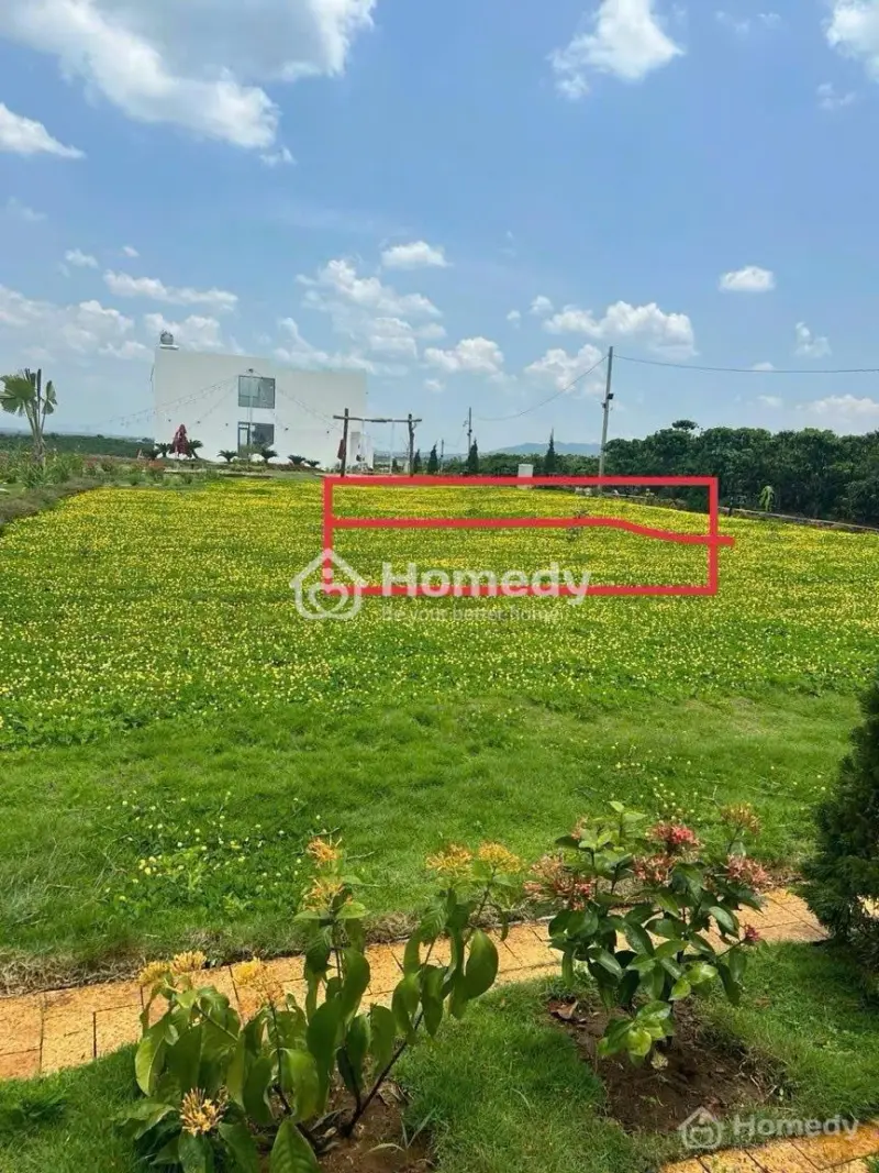 Cắt Lỗ 50%, Tổng Diện Tích 2 Lô 260M2, 200M2 Thổ Cư, Ngang 10.2Met, Dài 25 Mét, Ngay Ql20 Bảo Lộc