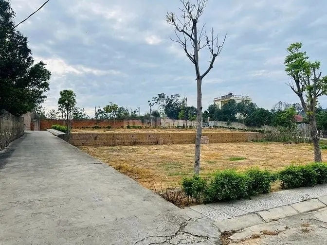 6020593 ảnh đại diện 1