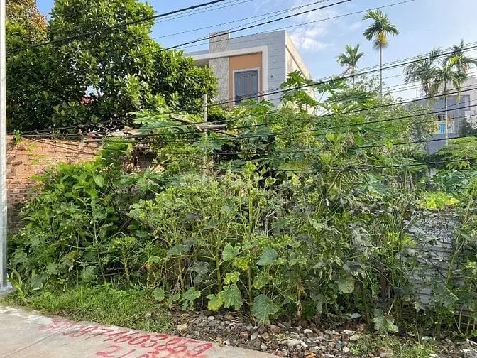 6020285 ảnh đại diện 1
