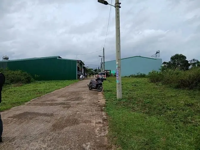 6020444 ảnh đại diện 1