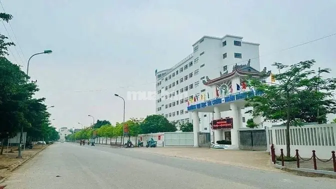 6020384 ảnh đại diện 1