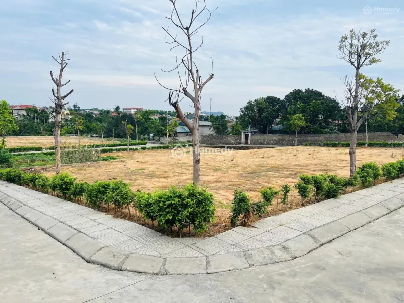 Chính Chủ Đi Nước Ngoài Cần Bán Gấp Lô Đất Ở Phường Mạo Khê Quảng Ninh, Giá Chỉ 9 Triệu/1M2, Shr