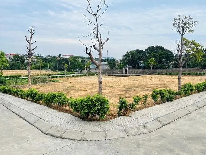 5 Lý Do Nên Mua Đất Tại Phường Mạo Khê (Quảng Ninh) – Xem Là Muốn Mua!