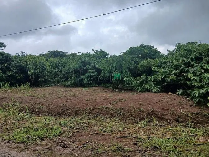 6020471 ảnh đại diện 1