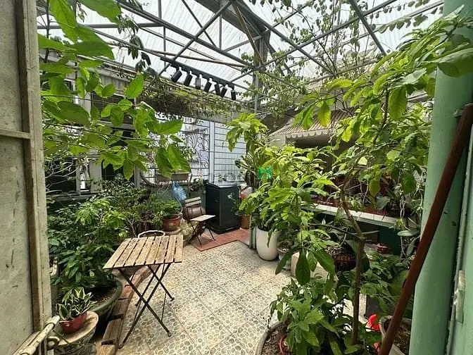 Bán Nhà Phố Chùa Hà – Cầu Giấy, Phân Lô, Vỉa Hè, Oto Tránh 65M2 Giá 21
