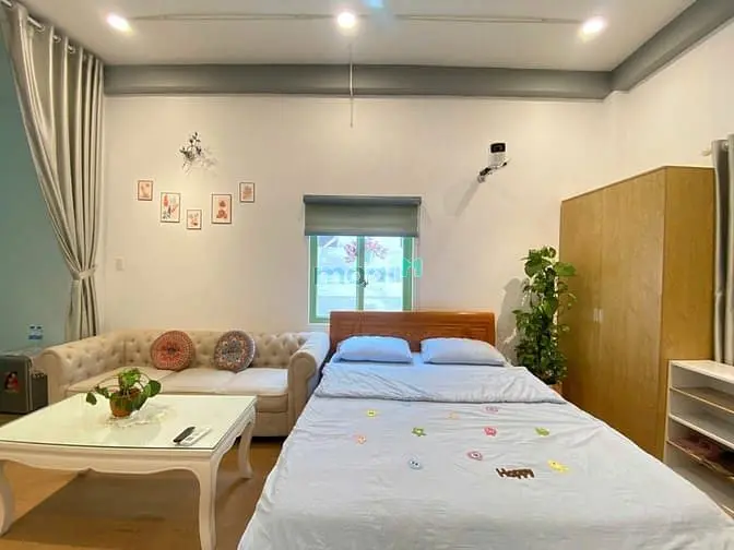 6020695 ảnh đại diện 1