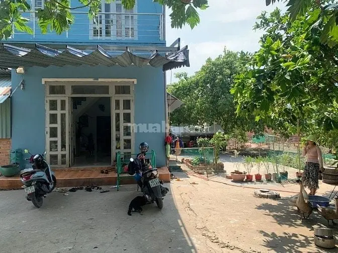 6020409 ảnh đại diện 1