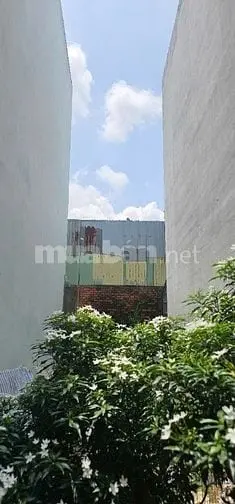 Lô Đất Thổ Cư Tiện Xây Mới 50M2 (4X12) Khu Phân Lô Đồng Bộ Chỉ 4.7 Tỷ