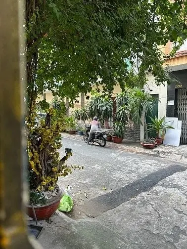 6020436 ảnh đại diện 1