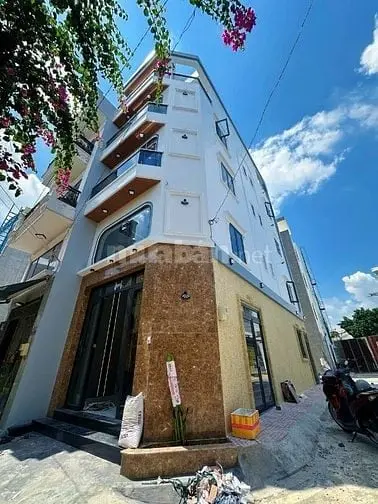 6020650 ảnh đại diện 1