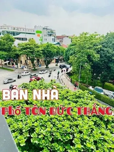 6020430 ảnh đại diện 1
